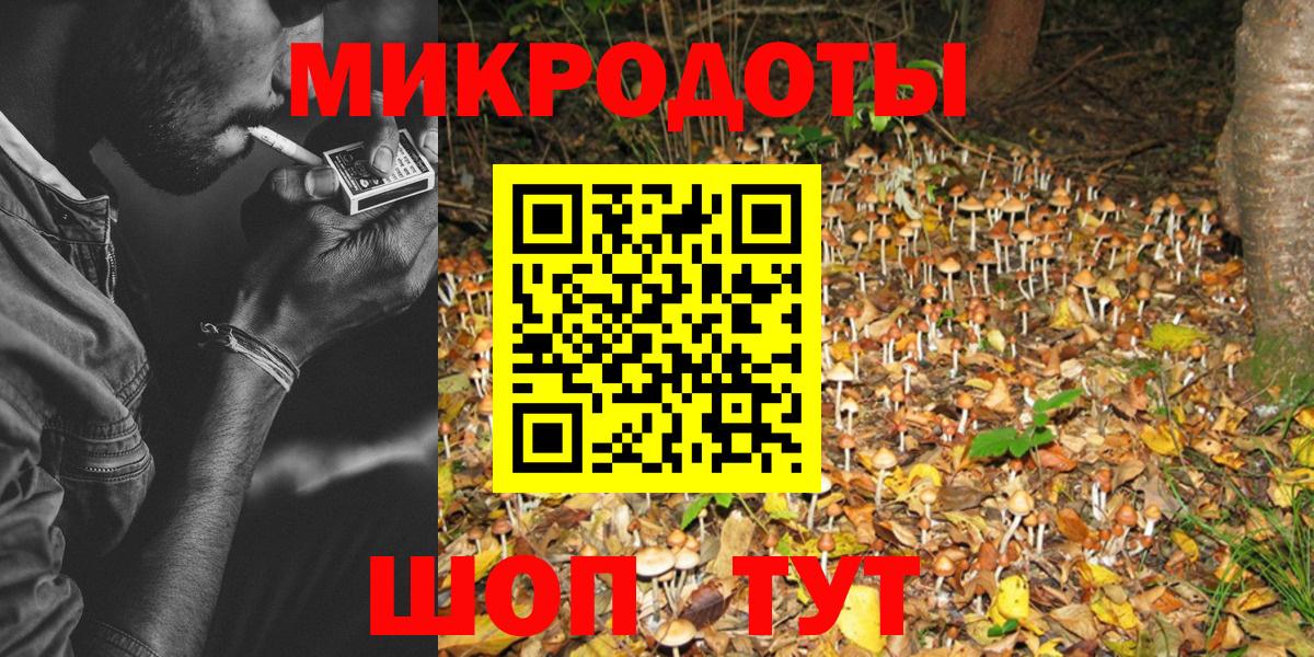 Псилоцибиновые грибы Psilocybine cubensis Рузаевка